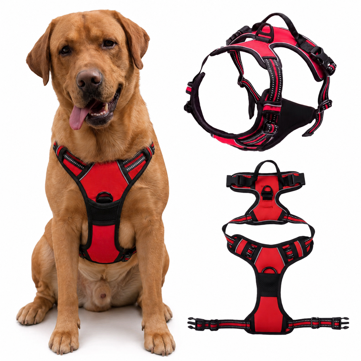 Anti Pull Harness