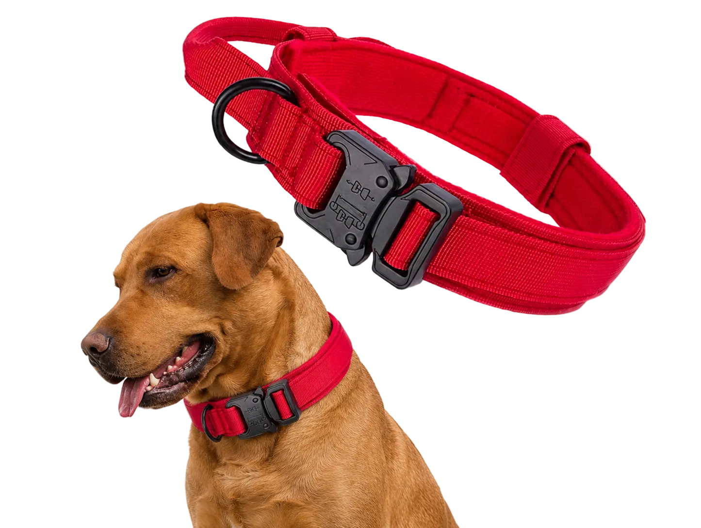 Tactical Dog Collar