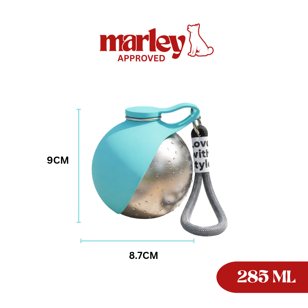 Portable Dog Bottle