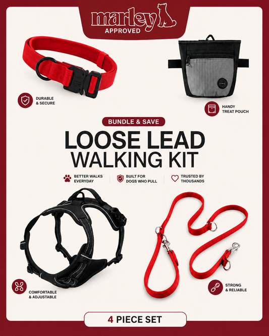 Loose Lead Walking Bundle