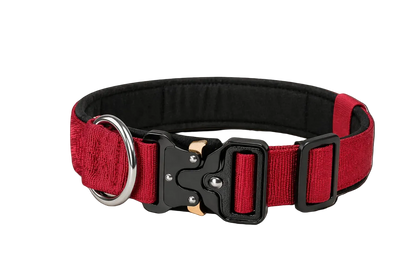 Tactical Dog Collar