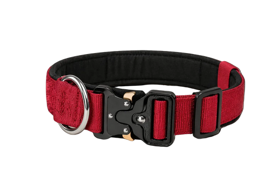 Tactical Dog Collar