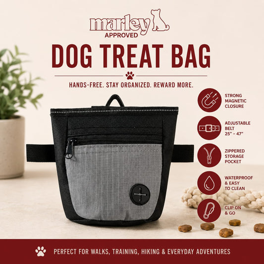 Treat Pouch with Training Clicker