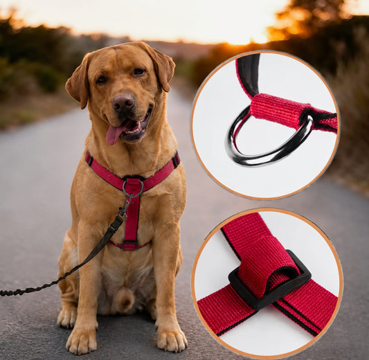 Pulling Correction Dog Harness