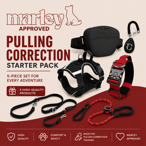 Pulling Correction Training Bundle