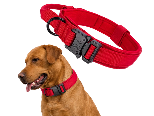 Tactical Dog Collar
