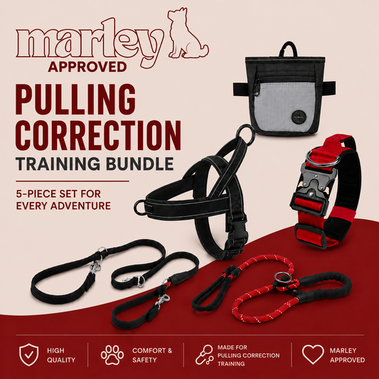 Pulling Correction Training Bundle
